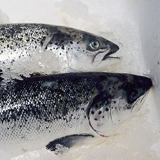 新發(fā)地三文魚案板檢測(cè)出新冠病毒，，北京多家超市連夜下架三文魚，北京新增三個(gè)病例